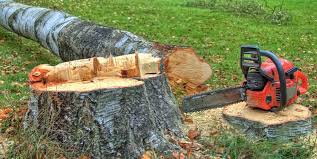 Best Tree Health Inspection  in Ardmore, AL